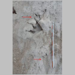 14-DSCN0377cr Two babies.jpg